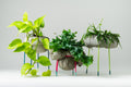 CLAMOUR - Glow - wirM Furniture