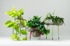 CLAMOUR - Glow - wirM Furniture