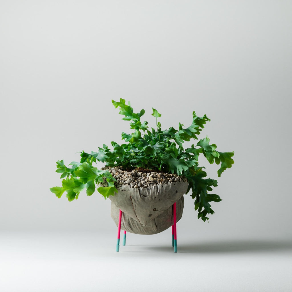 CLAMOUR - Glow - wirM Furniture