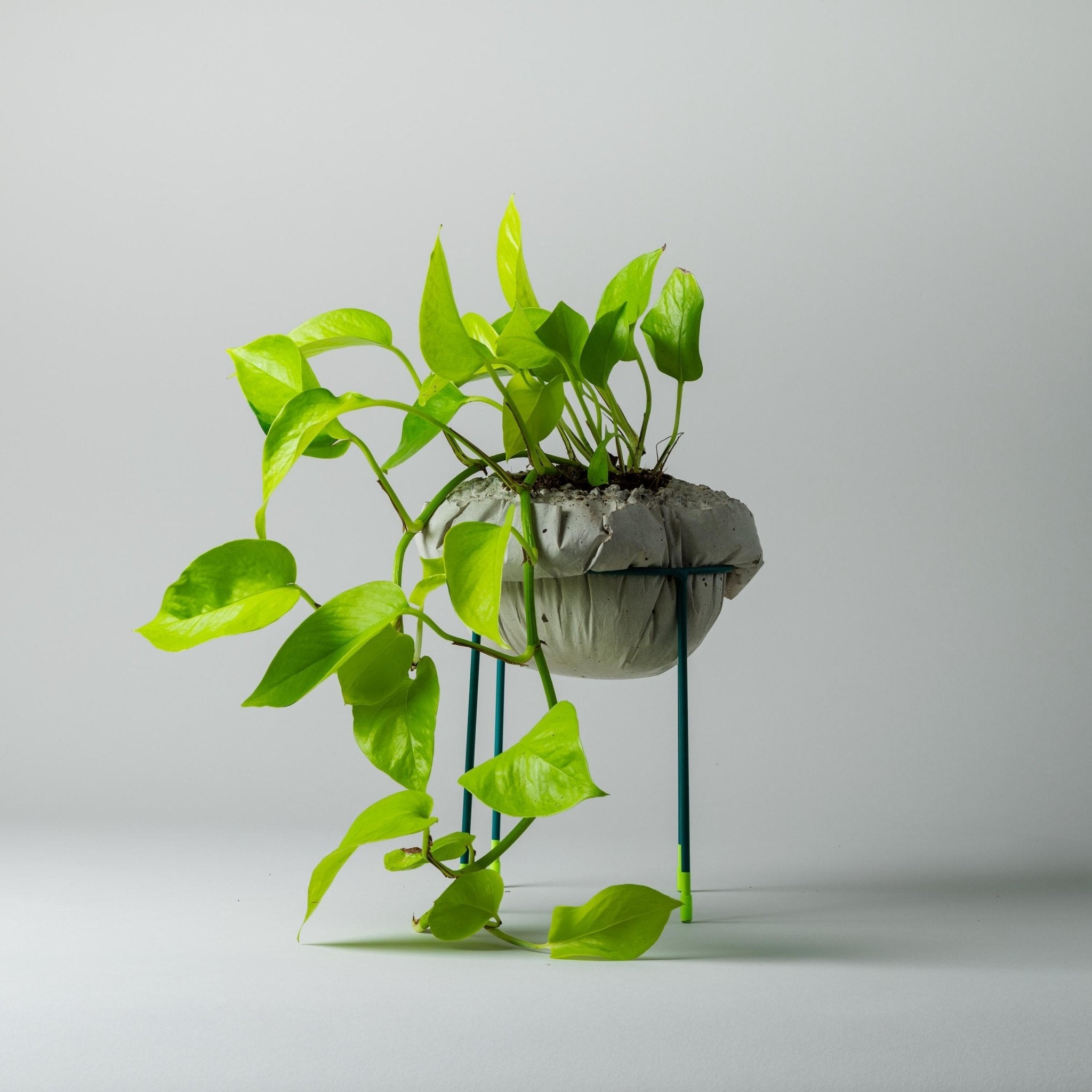 CLAMOUR - Glow - wirM Furniture