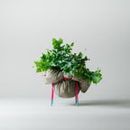 CLAMOUR - Glow - wirM Furniture